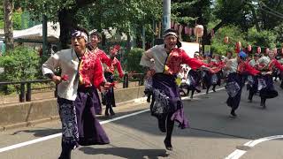 音ら韻２０１９原宿元気祭り代々木の杜ぼんおどり会場