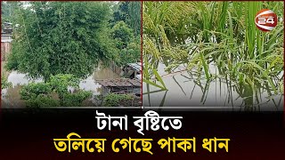 রাজশাহী-দিনাজপুরের কিছু এলাকায় এখনও জলাবদ্ধতা; বাসিন্দাদের দুর্ভোগ | Channel 24