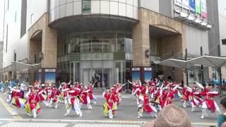 飛翠迅 『花水木』（曲終盤部分）／伊勢丹2階ペデ／けやきフェスタ2014よさこい in 府中（二日目・本祭）