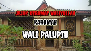 MENELUSURI JEJAK KERAMAT WALIYULLAH, KAROMAH DARI WALI PALUPUH.