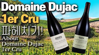 Domaine Dujac의 1er Cru 들여다보기