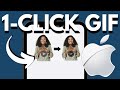 How to Create a GIF on iPhone from a Video