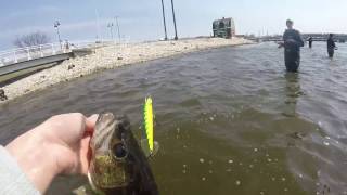 Walleye Fishing the Fox River! April 8, 2017