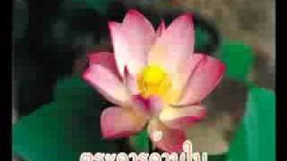 MVubonratchathani.wmv