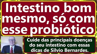 PROBIÓTICOS NA DISBIOSE E HIPERPERMEABILIDADE INTESTINAL