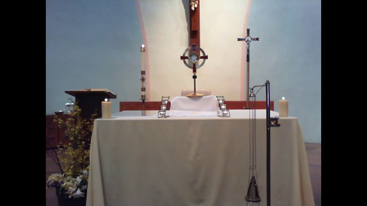 Eucharistic Adoration And Mass [Optional Memorial Of Our Lady Of Fatima ...