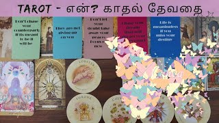 TAROT - காதல் தேவதைக்கு பிரபஞ்சம் சொல்லும் வழி என்ன?