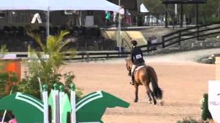 Video of CO CO POP ridden by LAUREN TYREE from ShowNet!