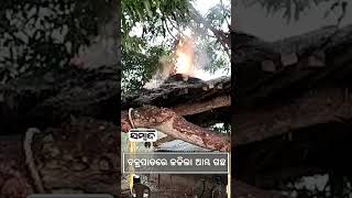 Tree On Fire Owing To Lightning Effect In Mayurbhanj | Sambad