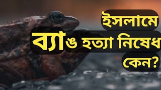 ইসলামে ব্যাঙ মারা নিষেধ | যে কারণে ব্যাঙ মারতে নিষেধ করেছেন রাসূল (সাঃ) | কুনো ব্যাঙ | Channel 30