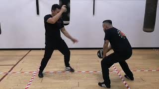 Jeet Kune Do: low kicks training