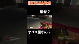 【OWから学ぶ】マップ探索で見つけた名産品！【HAVANA】