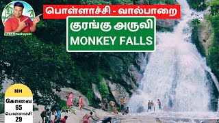 MONkey Falls Valparai Tourist Places | Valparai to Pollachi Azhiyar Dam Monkey Falls |