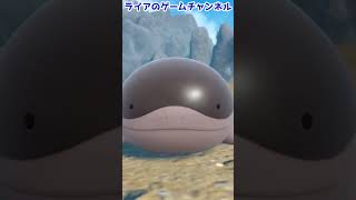 【ポケモンSV】ドオー ポケモンウォッシュ【ピクニック演出】#shorts