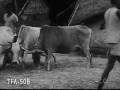 short documentary on bangladesh 1954