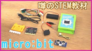 【STEM教材】micro:bit(マイクロビット)を買ってみた！　小学生でもプログラミングできるか？