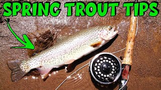 Top 10 Early Spring Trout Fishing Tips