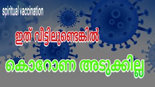 ഇത് വീട്ടിലുണ്ടെങ്കിൽ കൊറോണ അടുക്കില്ല|If it is at home the corona will not be close|MABHASULIRFAN