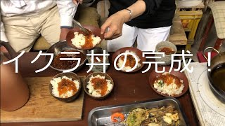 イクラ　を漬けました！　みんなで釣りに行き、小さなクロダイやスズキを釣りました。　釣果は炊き込みご飯にして、イクラをかけて炊き込みご飯のイクラ丼ぶり！　最高に美味しかったです！