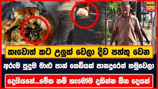 කෑවොත් කට උලුක් වෙලා දිව පත්තු වෙන අරුම පුදුම මාළු පාන් ගෙඩියක් පානදුරෙන් හමුවෙලා