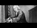 Nun Komm der Heiden Heiland Bwv 659 - J. S. Bach (Aldo Locatelli , plays)