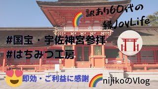 ♪国宝・宇佐神宮参拝/はちみつ工房/イッキに運気上昇⤴️⤴️