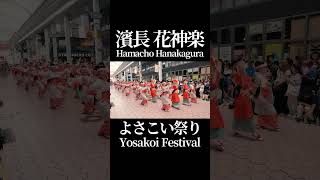 Hamacho Hanakagura | Kochi Yosakoi Festival | 2023 #Yosakoi #Festival #Dance #Japan #shorts