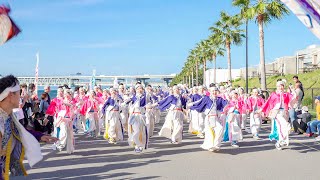 [4K] ほにや 1パレ目　泉州YOSAKOIゑぇじゃないか祭り 2024 SEASIDE会場