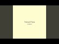 Tranquil Pulse