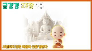 1600년 만의 금강경 산스크리트 재해석 (최용석) - 제 23장 淨心行善分 (정심행선분) 오염되지 않은 마음이 선을 행한다.[1부]     # 금강경 산스크리트 해석