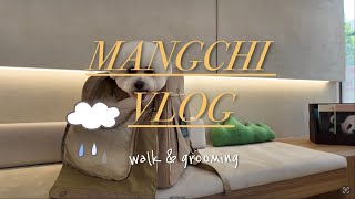 [VLOG#1] 우중산책 그리고 3달만의 미용 🐻‍❄️