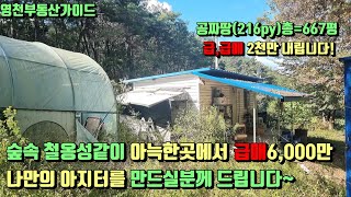 손해보고팔아요~화북면 자연인처럼 살고싶은분 영천주말농장급매 공짜땅:216평+(451평)총667평 6,000만[매물번호672]/영천부동산가이드/영천부동산