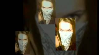 TOP OF THE LINE FEATHERWOODS.