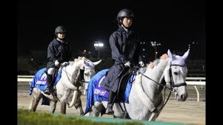 船橋競馬場 誘導馬に女性生徒が騎乗し誘導馬騎手デビュー 2018マリーンカップ