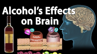 Effects of Alcohol on the Brain, Animation, Professional version.