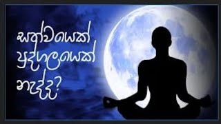 සත්වයෙක් පුද්ගලයෙක් නැද්ද? Ven.Allowwe Anomadassi thero