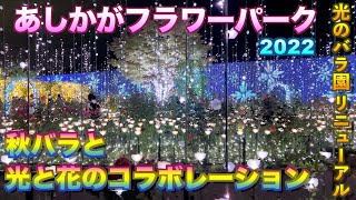 【秋バラ】【光と花のコラボレーション】【光のバラ園リニューアル2022】【あしかがフラワーパーク】／4K／【栃木県　足利市】／The garden of illuminated flowers