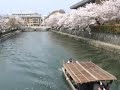 2007 sakura cherry blossom lake biwa canal