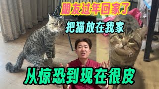 朋友过年回家了 把猫放在我家 我也有只猫！它从惊恐到很皮～整个过程被我记录下来了！