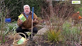 COMMENT BIEN FERTILISER AU NATUREL LES PLANTES DU JARDIN. PETIT COURS DE NUTRITION VÉGÉTALE