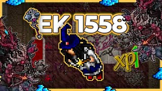 EK 1558 Hunt Solo Azzilon Castle 9.2kk/h Raw + 4kk Profit - Tibia Hunt [14.00] #tibia #tibiahunt