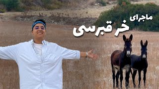 خر کمه میرن از قبرس میارن !