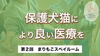 【第2回】保護犬猫により良い医療を　#まりもこスペイルーム （箱崎動物病院）　〜保護犬猫支援基金 協力動物病院紹介〜