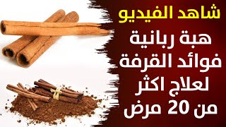 مشروب القرفة فوائد خفية وأسرار تناولها بهذه الطرق وشاهد كيف ستحميك من الأمراض والمضاعفات الخطيرة