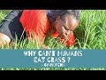 Why can't humans eat grass ? - Gyanopedia