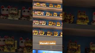 The maneki-neko (招き猫is a common Japanese figurine that is often believed to bring good luck.