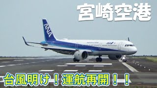 【宮崎空港】台風明け! 運航再開!! 何もいない空港への一番機を見る ～ After the typhoon at Miyazaki Airport (2022/9/19)