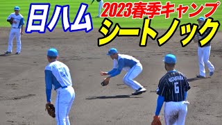 １軍選手ほとんど参加、日ハム名前入りシートノック！！ライトにドラ１矢澤と元阪神江越参加！！