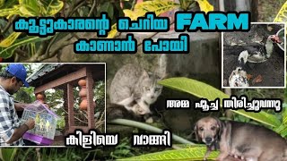 കിളികളെ ഒരു  വീട്ടിൽ നിന്നും വാങ്ങി | കൂടെ ചങ്കിനെയും അവന്റെ farm കാണാൻപറ്റി