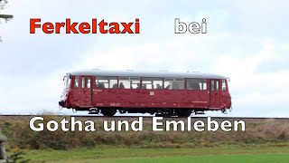 Sonderfahrt mit dem schönen Ferkeltaxi zwischen Gotha und Emleben